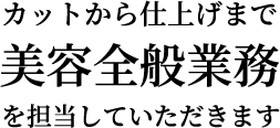 カットから仕上げまで美容全般業務を担当していただきます